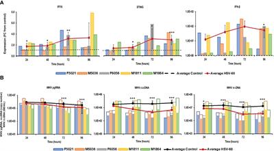 Agonistic Activation of Cytosolic DNA Sensing Receptors in Woodchuck Hepatocyte Cultures and Liver for Inducing Antiviral Effects